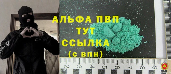 прущие грибы Михайлов