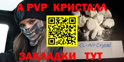 индика Камышлов