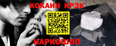 индика Камышлов