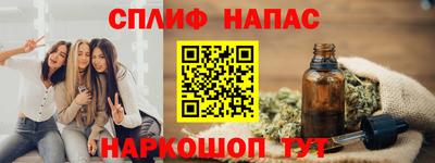 индика Камышлов