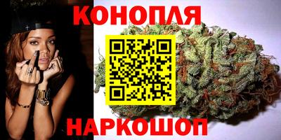 индика Камышлов