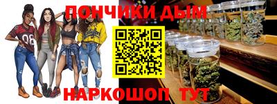 индика Камышлов
