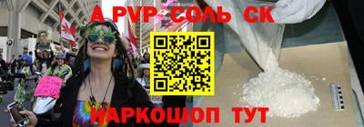 индика Камышлов