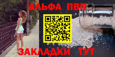 индика Камышлов