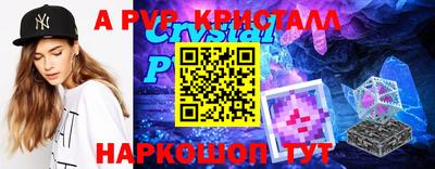 индика Камышлов