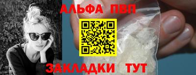 индика Камышлов