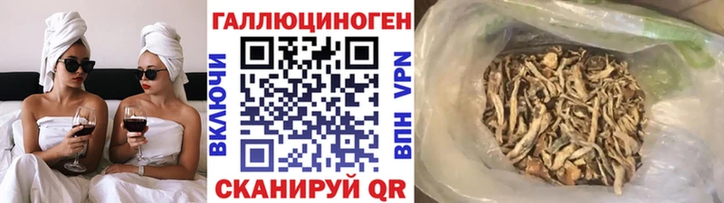 купить наркотик  Котлас  Псилоцибиновые грибы прущие грибы 
