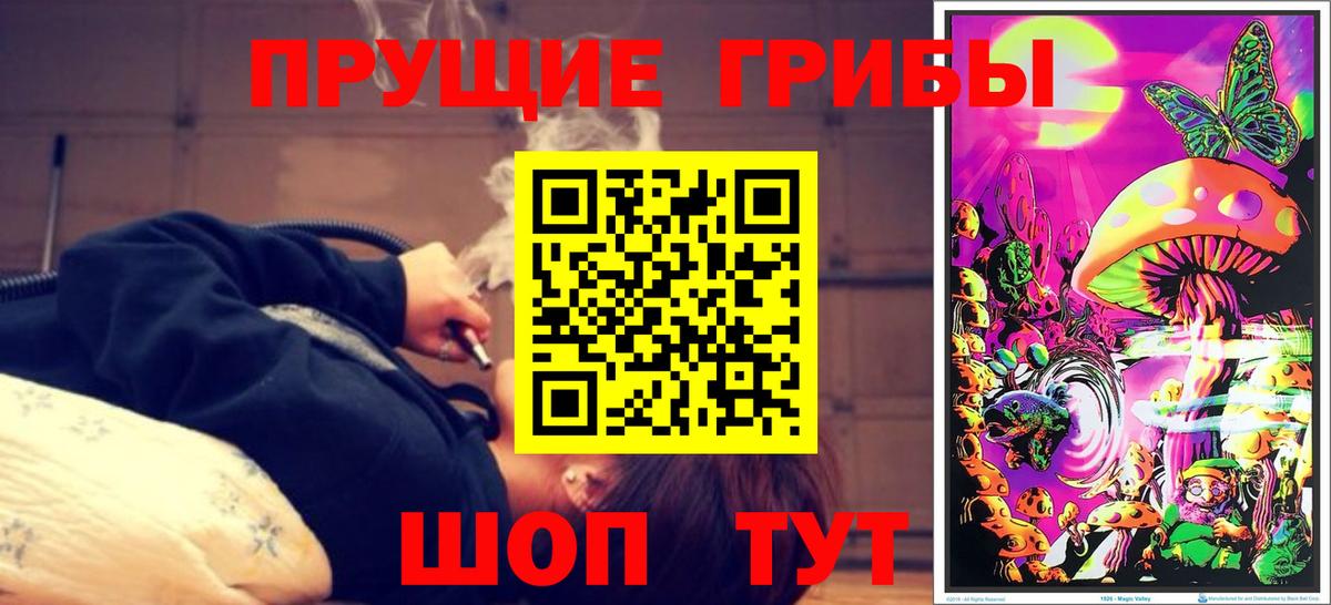 Галлюциногенные грибы Psilocybine cubensis Котлас