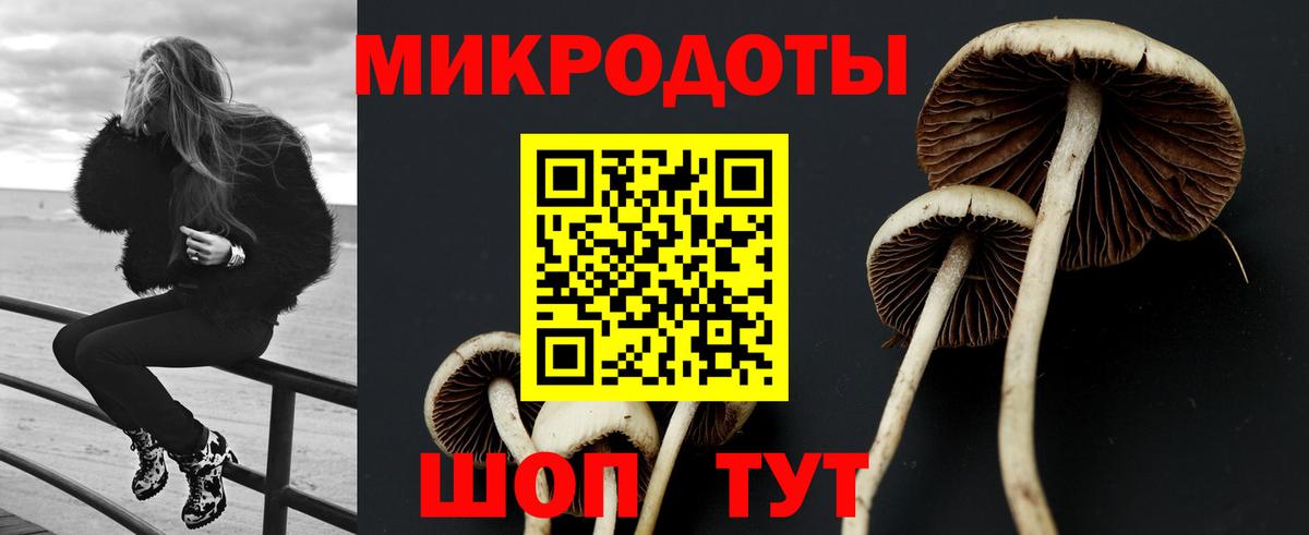 Галлюциногенные грибы мухоморы  Вход с VPN  Котлас  дарнет шоп  Псилоцибиновые грибы мухоморы 